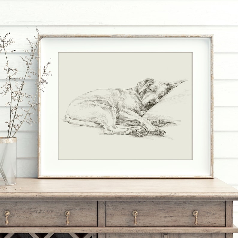 Labrador Retriever Art Print by Artist, Ethan Harper. Chocolate Lab Drawing Wall Decor. image 2
