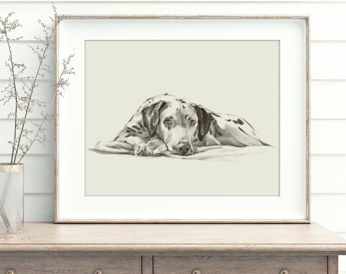 Dalmation Fine Art Print, Reproduced from Original Charcoal Drawing by Ethan Harper, Dog Wall Decor, Nursery Decor, Pet Lover Gift