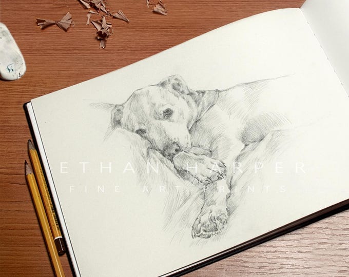 Custom Dog Sketch. Pet Portrait ,Commission drawn from your photo. Hand drawn. Memorial Drawing, Dog Portrait, Personalized Gift