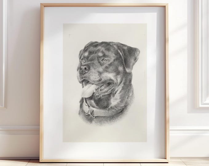Custom Dog Sketch Portrait, Hand Drawn Pet Memorial Drawing, Personalized Dog Portrait from Photo, Unique Gift for Pet Lovers