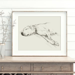 Sleeping Labe Wall Art - Yellow Labrador Art Print by Ethan Harper - Dog Prints For Fall Home Decor -Labrador Retriever Wall Art For Bedroom