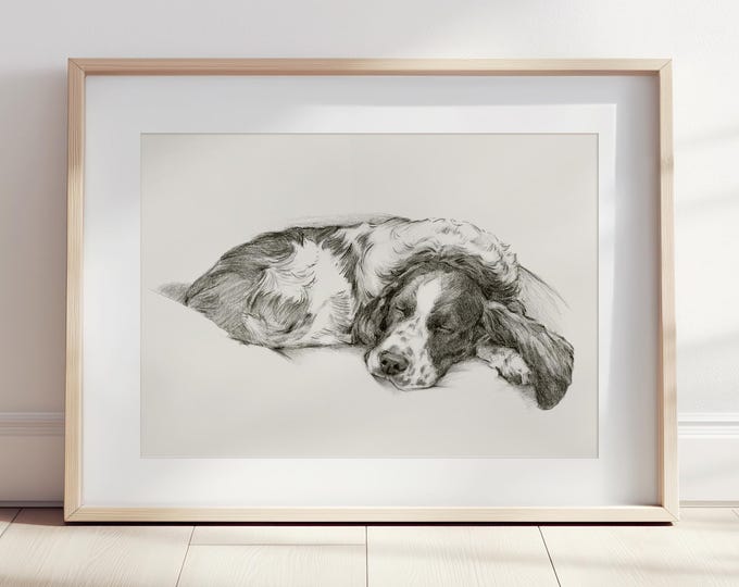 Springer Spaniel Charcoal Art Print, Dog Lover Gift