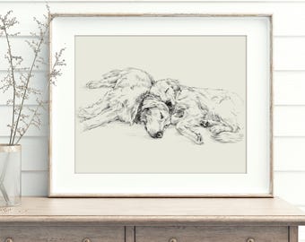 Golden Retriever Wall Art Prints Antique Style Dog Sketch For Nursery by Ethan Harper - Golden Retriever Drawing -Sleeping Dog Bedroom Print