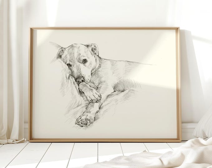 Pit Bull Art Print: Staffordshire Bull Terrier Drawing, Dog Lover Gift