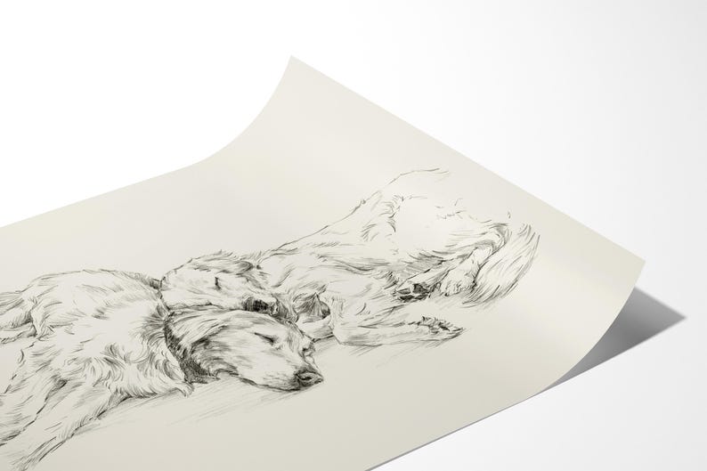 20x16 Golden Retriever Art Print