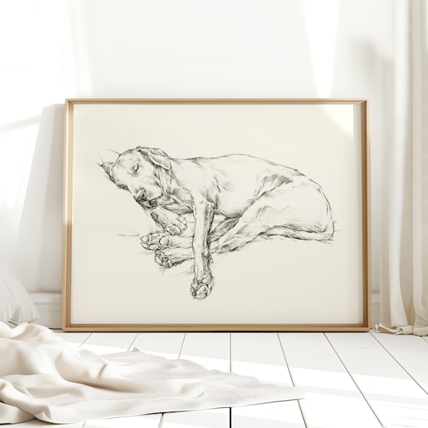 Black Lab Sketch Art Print - Sleeping Labrador Retriever Dog Wall Art Prints - Dog Drawing Nursery Wall Decor - Pet Painting by Ethan Harper