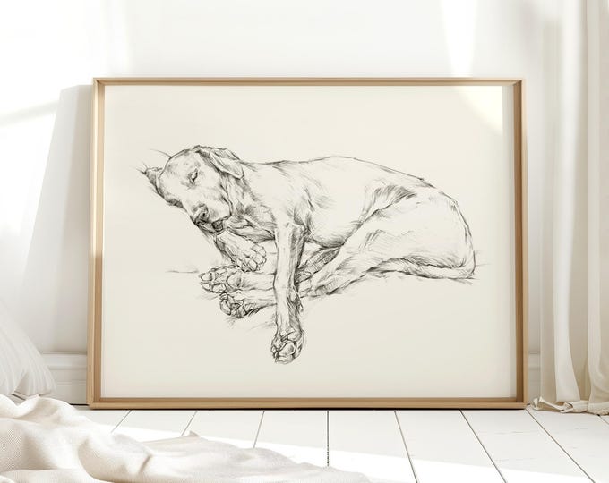 Black Lab Sketch Art Print - Sleeping Labrador Retriever Dog Wall Art Prints - Dog Drawing Nursery Wall Decor - Pet Painting by Ethan Harper