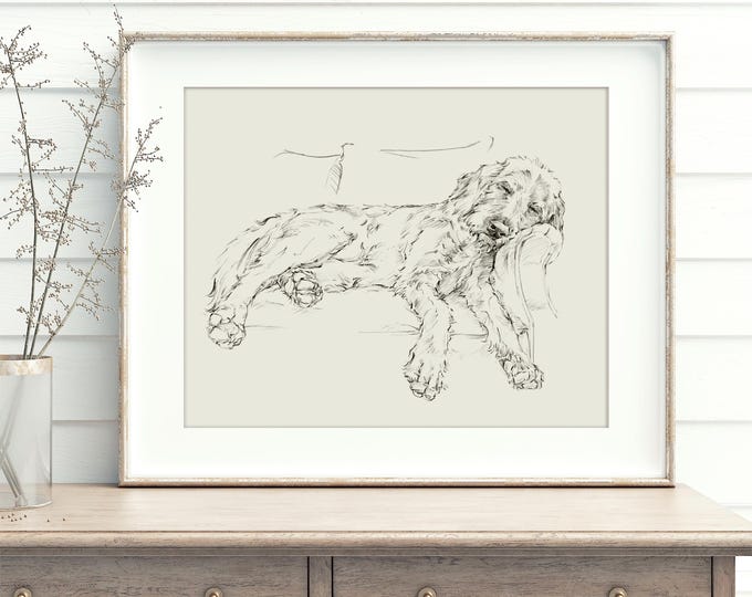 Goldendoodle Fine Art Print, Reproduced from Original Pencil Drawing by Ethan Harper, Dog Wall Decor, Nursery Decor, Pet Lover Gift