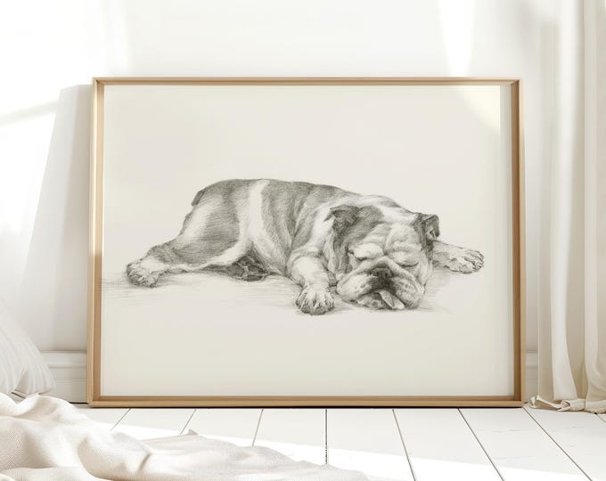English Bulldog Sketch Art Print: Dog Lover Gift, Nursery Decor
