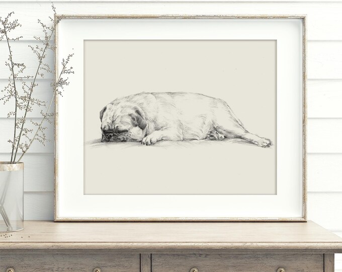 Pug Drawing Art Print by Ethan Harper - Cute Antique Style Dog Sketch Wall Decor, Perfect for Nurseries or a Gift for Dog Lovers