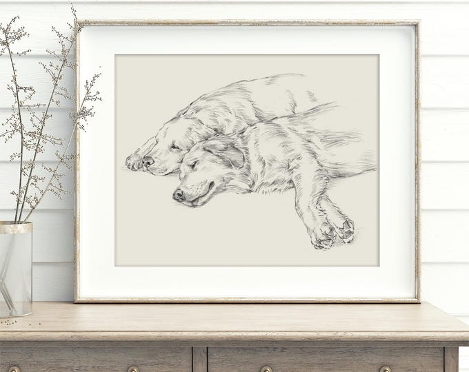 Golden Retriever Antique Style Sketch Art Print by Ethan Harper, Elegant Art for Nursery & Home Wall Decor, Perfect Gift for Dog Lovers