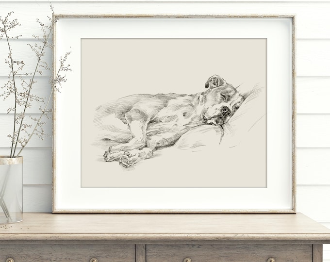 Boxer Dog Art Print by Artist, Ethan Harper. Boxer Drawing Wall Decor.