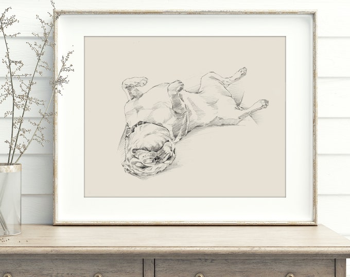 Pug Drawing Art Print Artist Ethan Harper. Cute Gifts for Dog Lovers. Dog Wall Decor.