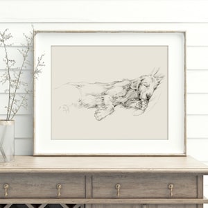 Golden Retriever Art Print by Ethan Harper – Elegant Dog Sketch Home Decor, Pet Portrait Wall Art, Gift for Dog Lovers