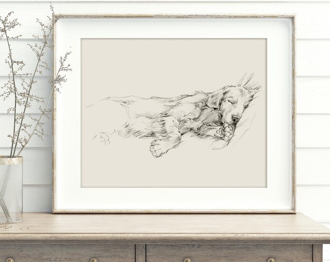 Golden Retriever Sketch: Fine Art Print by Ethan Harper - Elegant Dog Portrait for Home Decor