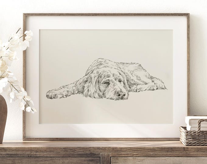 Goldendoodle Retriever Drawing Fine Art Print by Artist, Ethan Harper. Artwork for Dog Lovers.