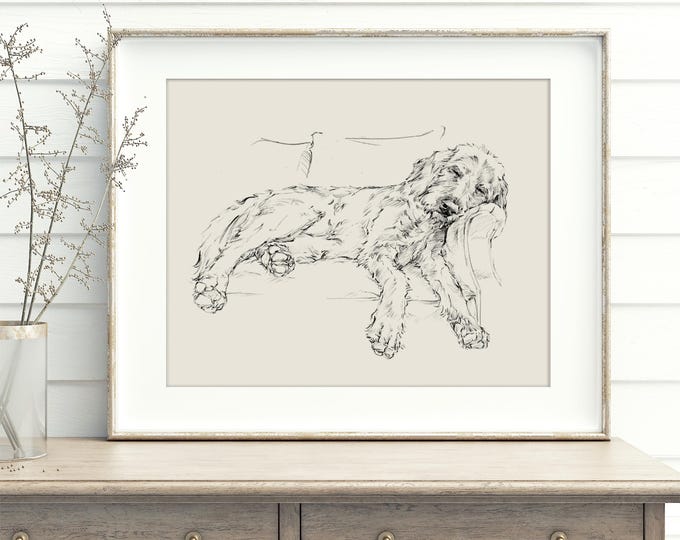 Goldendoodle Drawing Fine Art Print by, Ethan Harper