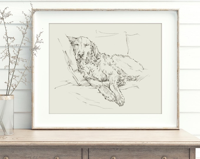 Golden Retriever Fine Art Print by Ethan Harper – Dog Drawing Wall Decor, Gifts for Dog Lovers, Pet Portrait Artwork