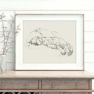 Golden Retriever Fine Art Print. Ethan Harper. Golden Retriever Drawing. Dog Artwork. Dog Wall Decor. Gifts for Dog Lovers.
