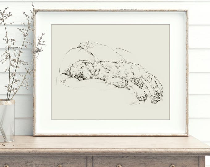 Golden Retriever Fine Art Print. Ethan Harper. Golden Retriever Drawing. Dog Artwork. Dog Wall Decor. Gifts for Dog Lovers.