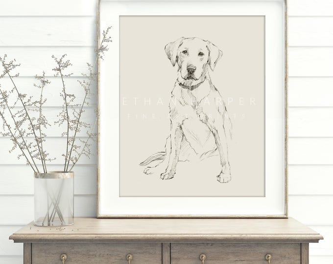 Labrador Retriever Art Print by Ethan Harper.  Yellow Lab, Black Lab, Chocolate Lab Drawing Wall Decor.