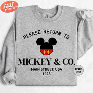 Mickey & Co Disneyland Sweatshirt, Vintage Disneyland Sweat, Family Vacation Sweatshirt, Disney Vacation, Epcot Sweatshirt