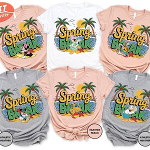 Mickey and Friends Spring Break Shirts, Disney Beach Trip Shirt, Family Vacation 2025 Shirt, Disney Summer Shirt, Disneyland Trip Shirt