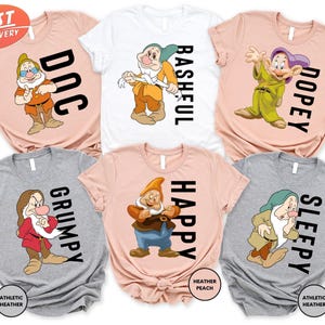 Disney Seven Dwarfs Matching Shirt, Grumpy Sneezy Bashful Sleepy Dopey Happy Doc Tee, Snow White Shirt, Disneyland Trip Tee