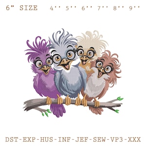 Diseño de bordado de pájaros, archivo de bordado de pájaros divertidos, patrón de bordado de pájaros en grupo, diseño de bordado a máquina de animales peculiares