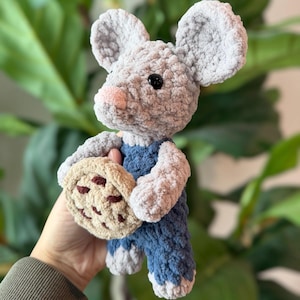 Crocheted Mouse Plushie with Cookie: Book Inspired Reading Buddy Toy, Teacher Gift