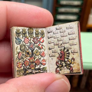 Könnte beinhalten: Ein winziges offenes Buch mit detaillierten Illustrationen von Wappen und heraldischen Symbolen. Die Seiten sind gealtert mit einem roten Buchrücken. Das Buch wird in einer Hand gehalten, was auf seine geringe Größe schließen lässt, wahrscheinlich für ein Puppenhaus oder eine Miniatursammlung.