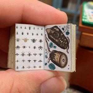 May include: A miniature open book with detailed illustrations of insects and botanical specimens. The pages are cream-colored, and the illustrations are in black and brown. The book is held in a hand, suggesting a small scale, possibly for a dollhouse or miniature collection.