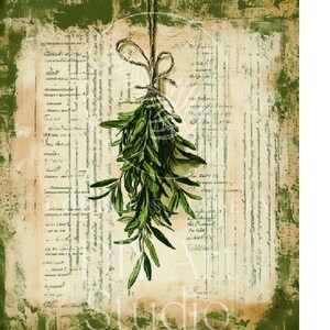 Pacchetto di erbe aromatiche al rosmarino, fattoria primitiva, download immediato, stampabile 8,5x11 e 8x8, sublimazione, decoupage, artigianato