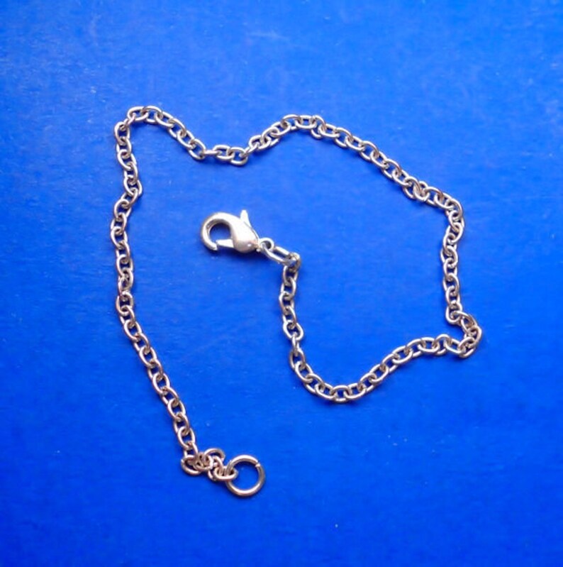 Saint Bernard Pendant Necklace or Keychain Choose Coin