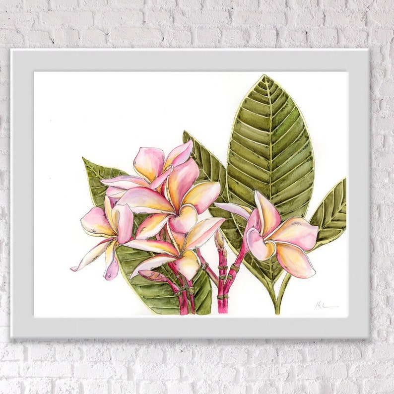 Plumeria Tropical Flower Limited Edition PRINT