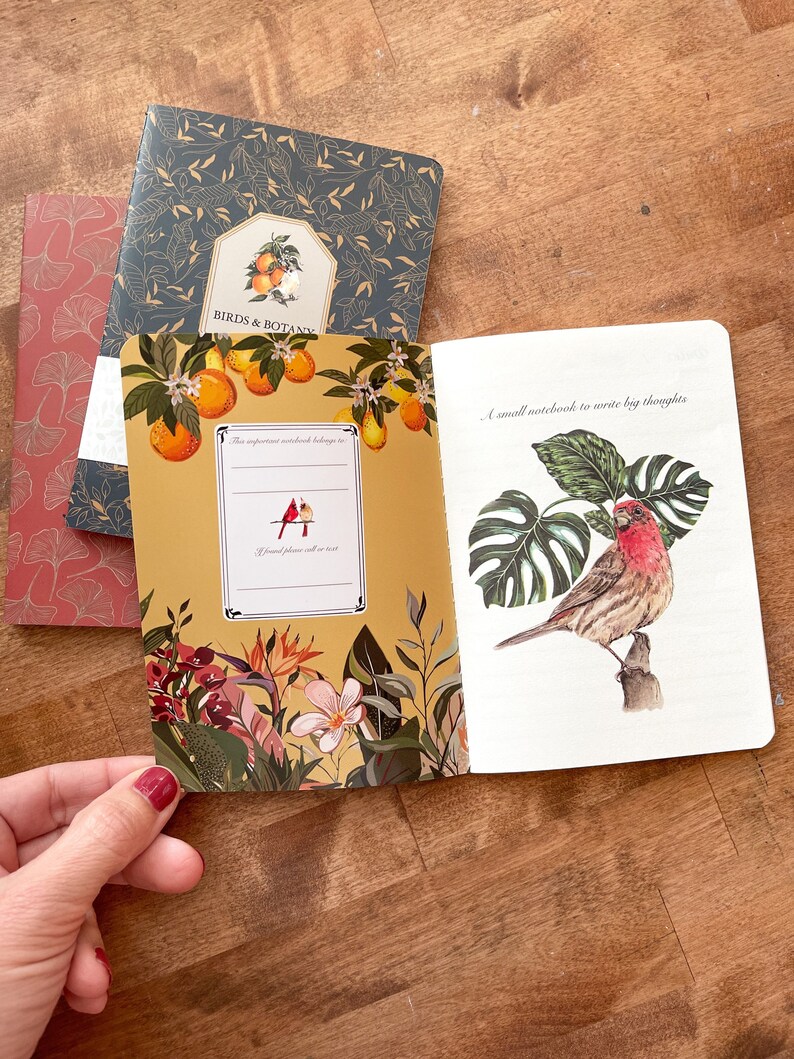 Birds & Botany Pocket Notebook Set: Watercolor Art, Lined Pages - Etsy