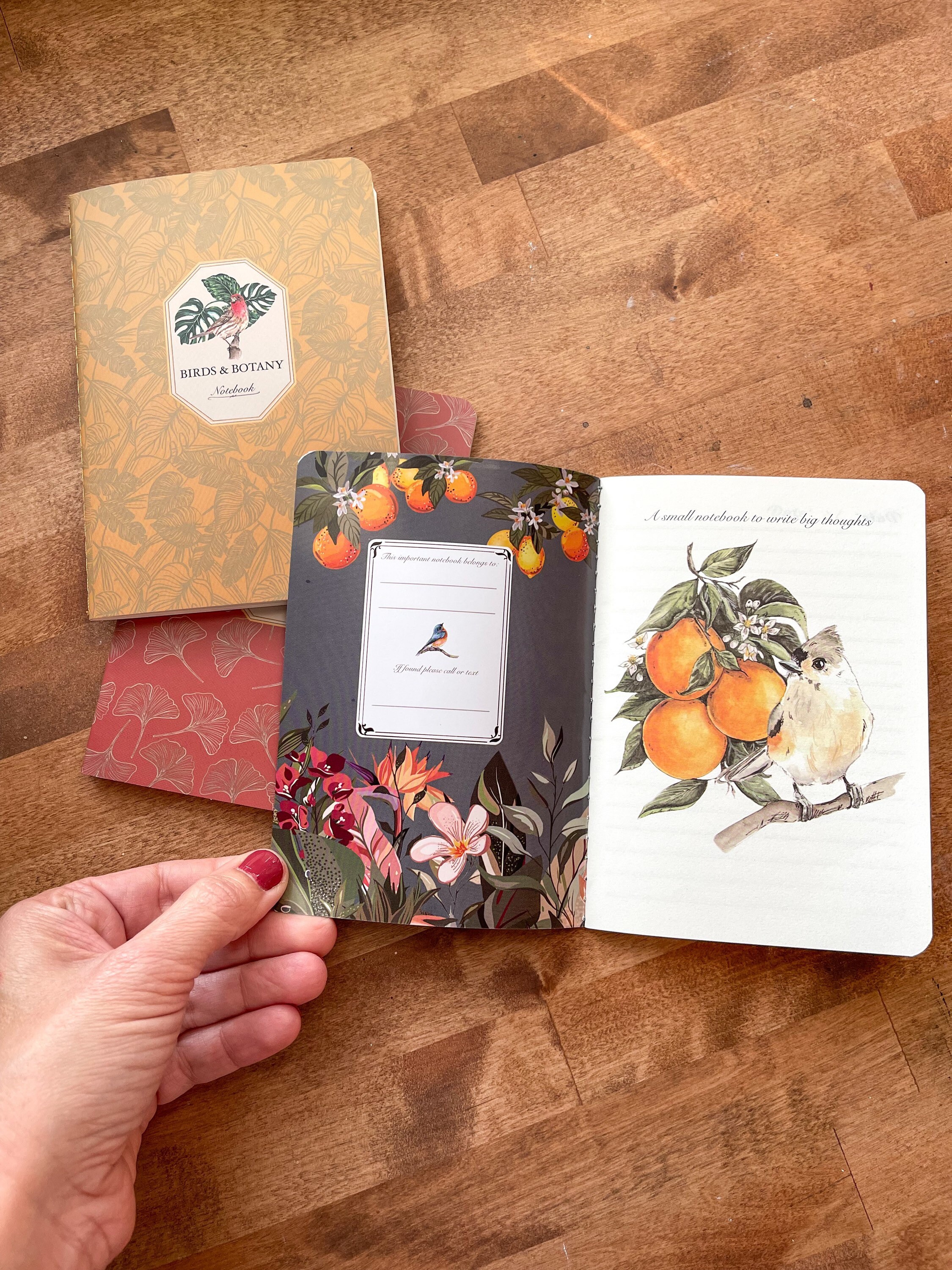 Birds & Botany Pocket Notebook Set: Watercolor Art, Lined Pages - Etsy