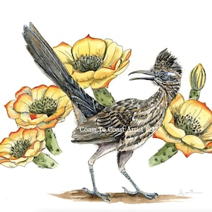 Print : Large Roadrunner with Orange Prickly Pear Blooming Cactus Bird Painting, Texas, Watercolor Flower Yellow