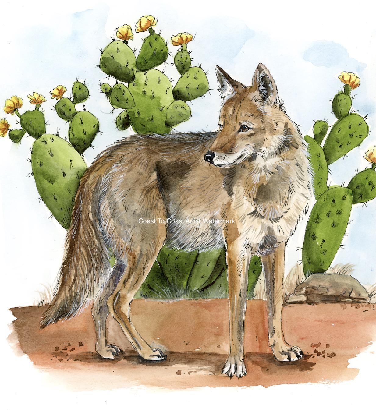efeu grenzabstand Efeu - Hedera helix