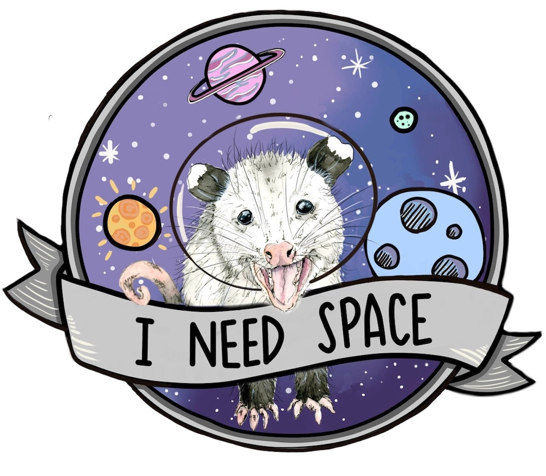 Sticker : I Need Space Possum Opossum Planner, Craft, Vinyl Sticker, Cute,  Funny, Humor, Wildlife, Animal, Rehab, Gift, Stocking Stuffer 