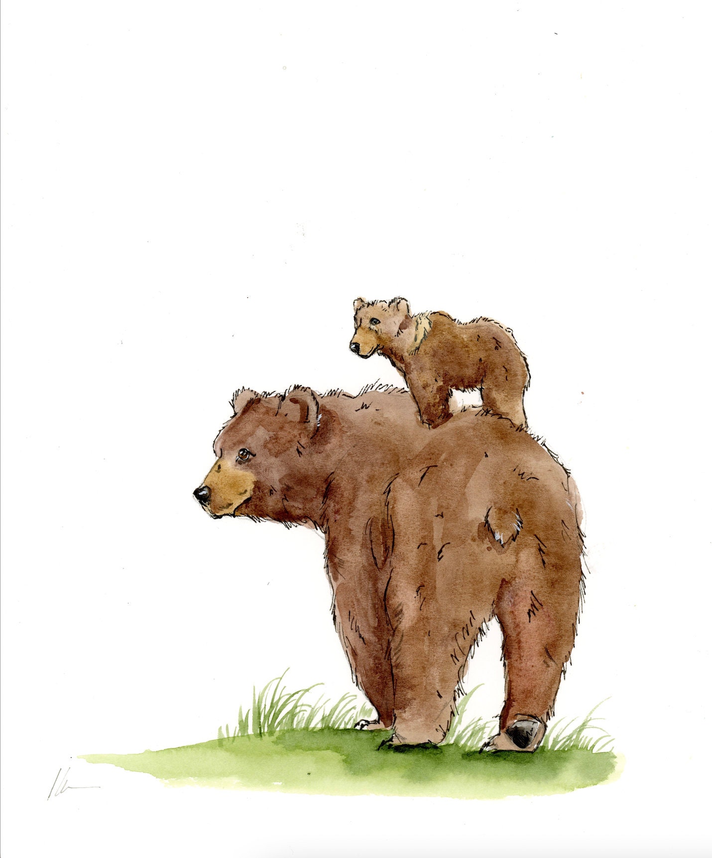 Watercolor Grizzly Bear