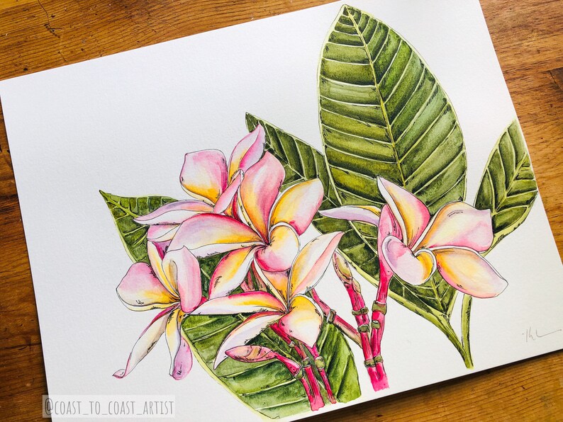Plumeria Tropical Flower Limited Edition PRINT