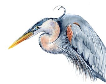 Print : Beautiful Great Blue Heron Stork Bird Painting, Wetlands, Coastal Decor Watercolor