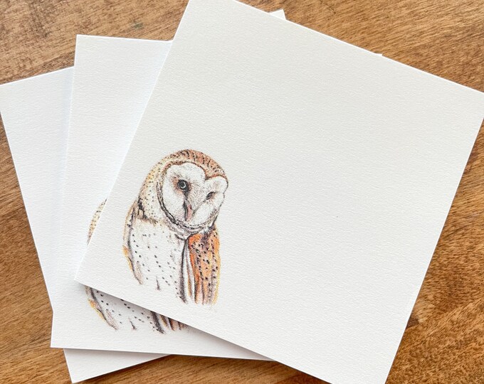 Twinkle Twinkle Little Bat 4X6 Sticky Memo Pad • Kawaii and Gothic ...