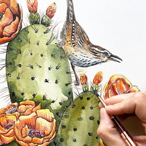 Impression : beau troglodyte des cactus sur cactus en fleurs, oiseau, figue de barbarie, ornithologue amateur, cadeau, désert, art déco de Sonora