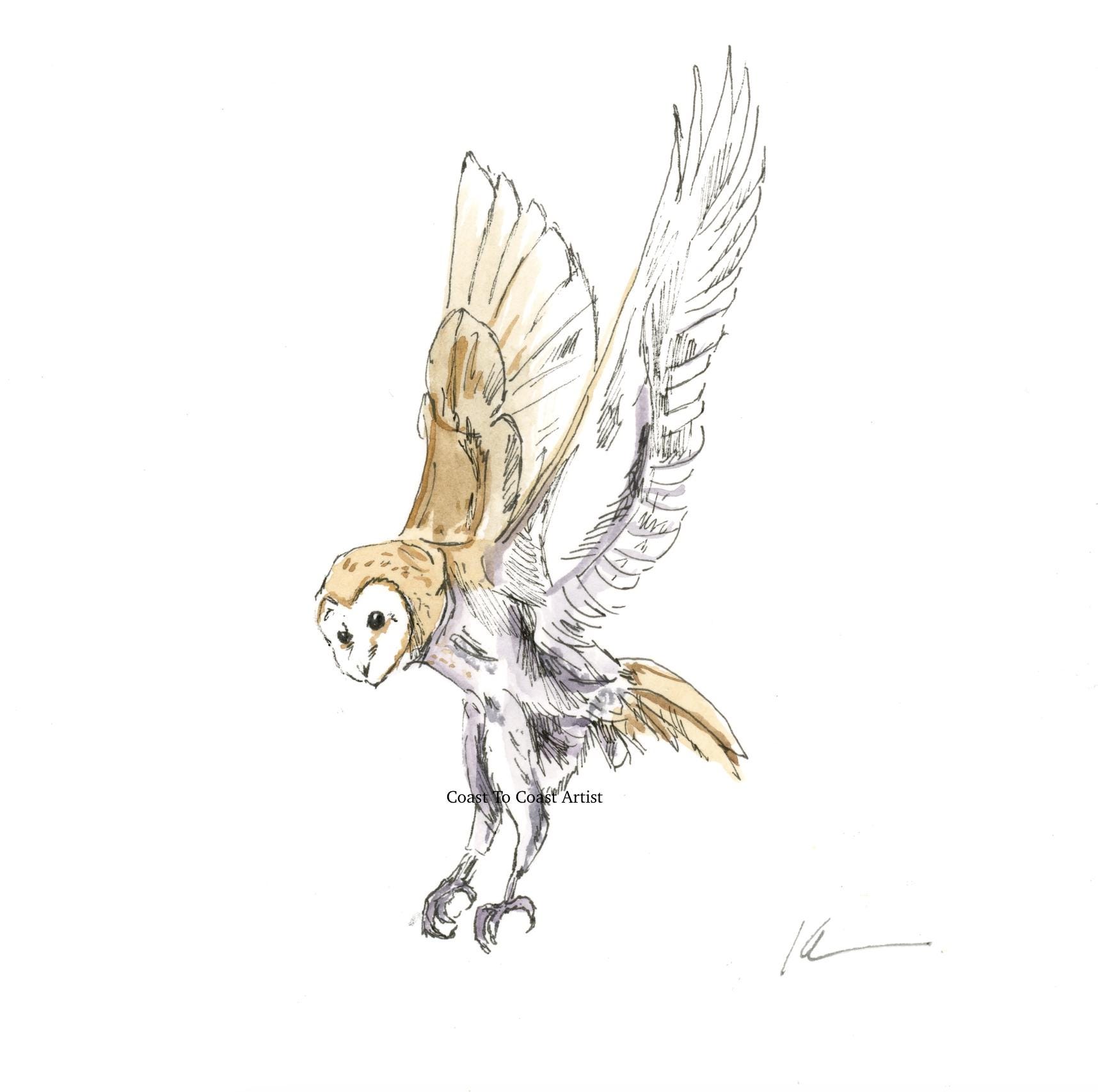 Heart Shaped Barn Owl Watercolor Painting: Woodland Animal Art