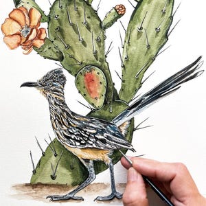 Print : Beautiful Roadrunner Bird and Blooming Cactus Prickly Pear Blossom, Birdwatcher, Desert, Sonora