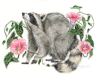 Swamp Morning Glories with Raccoon Habitat Series