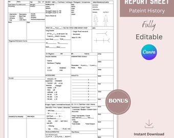 ICU Nurse Report Sheet, Editable Nurse Sheets, Nurse Report Sheet, Patient Nurse Report Sheet, Editable Sheets, SBAR Nursing Essentials