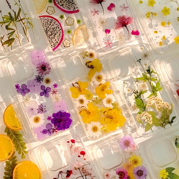 Pretty real flowers Pressed fruit clear phone case iPhone 17 16 E 15,14,13,12,11, mini ProMax plus Samsung Galaxy S22 S23 S24 S25 S26 Ultra